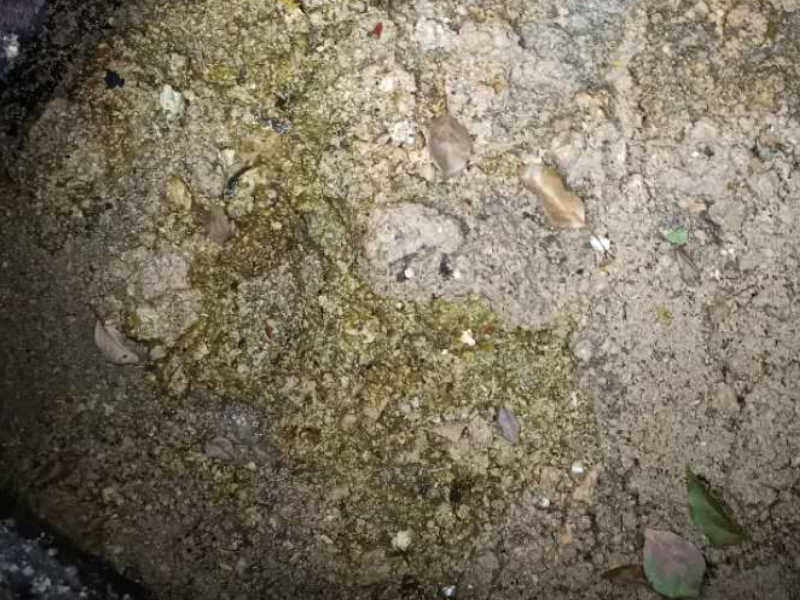 淳安县污水管网清洗点状修复